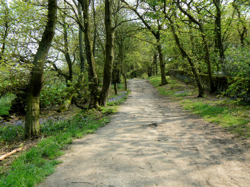 North Lane North Lane